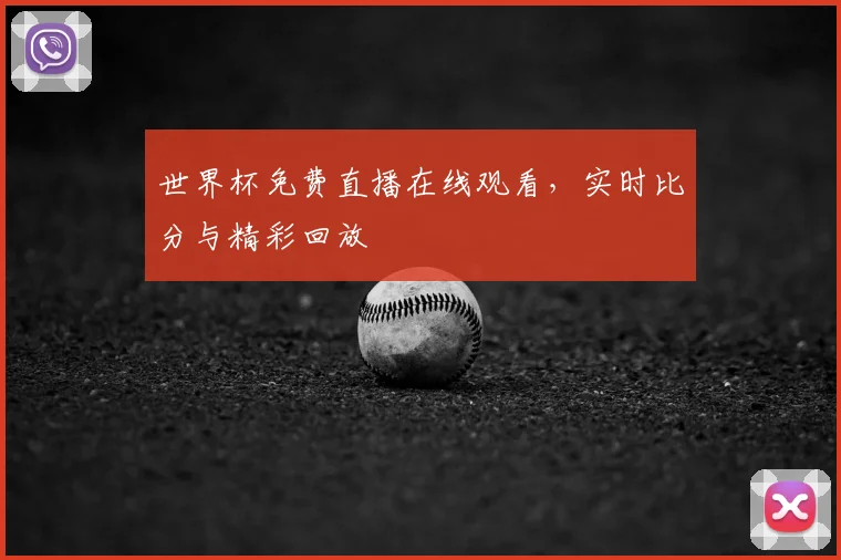 世界杯免费直播在线观看,实时比分与精彩回放