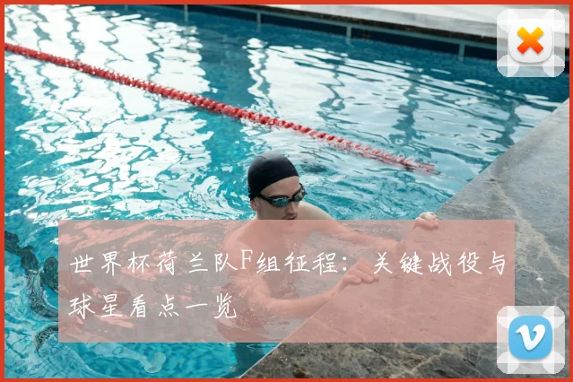 世界杯荷兰队F组征程：关键战役与球星看点一览