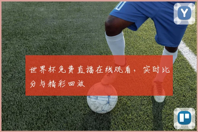 世界杯免费直播在线观看,实时比分与精彩回放